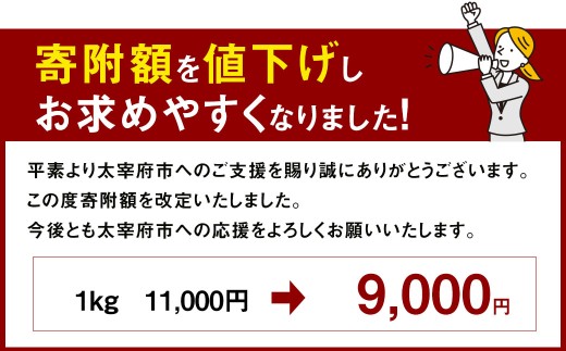 無着色 からし明太子 (切れ子) 小分けタイプ 500g×2袋 計1kg 便利なジッパー付き袋