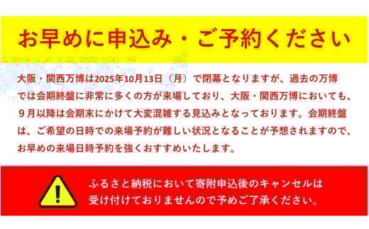 大阪府東大阪市のふるさと納税 【9月11日まで！】大阪・関西万博入場チケット　夜間券（大人）【2025年日本国際博覧会 Expo 2025 Osaka, Kansai, Japan EXPO2025 EXPO 2025 大阪 関西 日本 万博 夢洲 修学旅行 校外学習 ミャクミャク 大阪・関西万博 OOSAKA JAPAN 入場券 パビリオン 観光 世界文化 環境問題 前売り券 大阪万博 関西万博  ⒸExpo 2025】