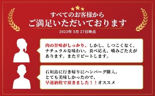 沖縄県石垣市のふるさと納税 石垣牛 ハンバーグ セット (100g×10個)＜ご入金確認後1ヶ月程度で発送＞ | 国産 石垣牛100% 沖縄 石垣島産 高級 黒毛和牛 ビーフ ハンバーグセット