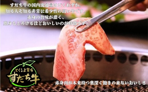 徳島県鳴門市のふるさと納税 すだち牛 黒毛和牛 （ 焼き肉用 ） 300g 国産 牛肉 焼き肉 焼肉 赤身 冷凍 お肉 肉 ブランド 和牛 霜降り カット 小分け 人気 10000円