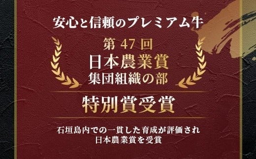沖縄県石垣市のふるさと納税 石垣牛 ハンバーグ セット (100g×10個)＜ご入金確認後1ヶ月程度で発送＞ | 国産 石垣牛100% 沖縄 石垣島産 高級 黒毛和牛 ビーフ ハンバーグセット