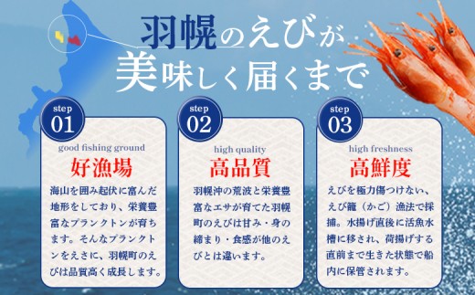 えび出汁ラーメンセット（えび味噌・えび塩×各5袋）