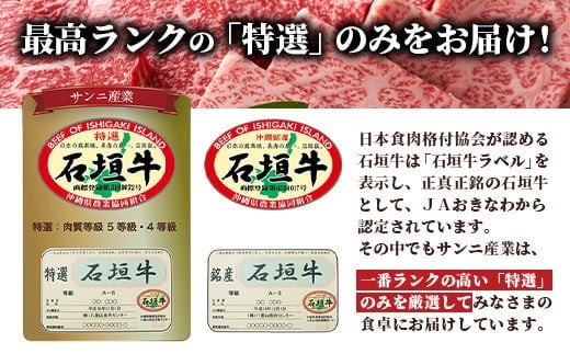 沖縄県石垣市のふるさと納税 石垣牛 ハンバーグ セット (100g×10個)＜ご入金確認後1ヶ月程度で発送＞ | 国産 石垣牛100% 沖縄 石垣島産 高級 黒毛和牛 ビーフ ハンバーグセット