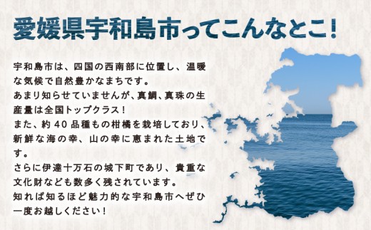 愛媛県宇和島市のふるさと納税 愛媛みかん 甘夏 6.25kg 2箱 計12.5kg 家庭用 平石農園 先行予約 mikan 愛媛ミカン 愛媛蜜柑 甘夏みかん あまなつ 果物 くだもの 爽やか フルーツ さっぱり 柑橘 初夏 の みかん 蜜柑 アマナツ 農家直送 産地直送 数量限定 国産 愛媛 愛媛県産 宇和島 B010-017004