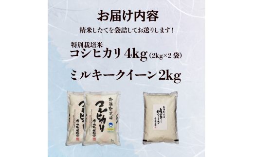 かぁかですミルキークイーン・コシヒカリ 令和5年産】うるち米セット(コシヒカリ3kg ミルキークイーン3kg