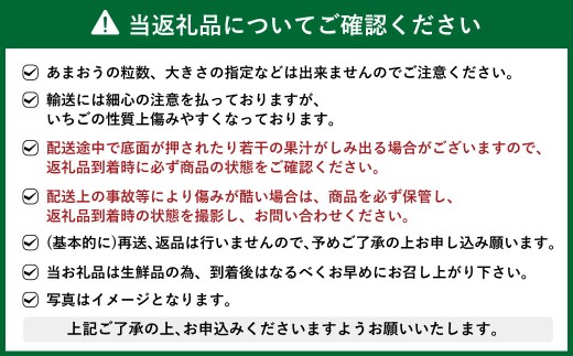 【予約受付・3回定期便】あまおう贅沢セット No2