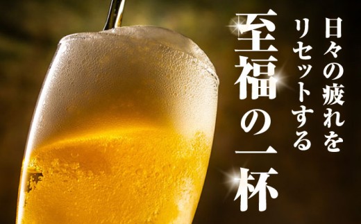 ビール 生ビール 黒ラベル サッポロ サッポロ生ビール ギフト お中元 お歳暮 父の日 母の日 敬老の日 BBQ 夏 焼肉 