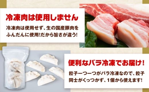 餃子 冷凍餃子 ぎょうざ 肉餃子 惣菜 おかず おつまみ 大容量 業務用 簡単
