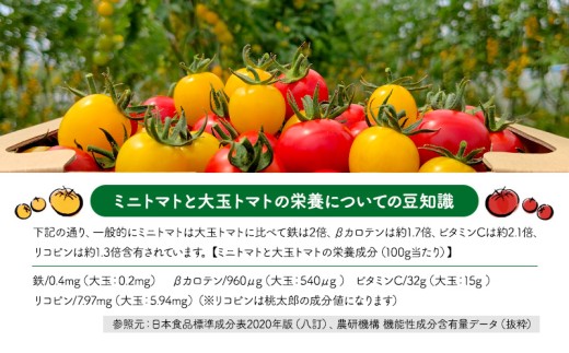 アイテムID:390734の画像7枚目