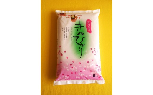［先行受付］和歌山県産キヌヒカリ 5kg（2025年産）［SL27］ 1373537 - 和歌山県九度山町