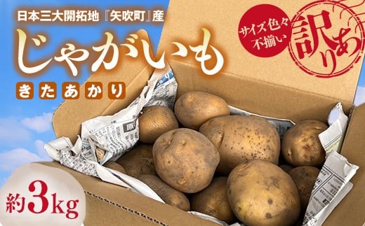 【訳あり】サイズ色々！不揃いじゃがいも（きたあかり）3kg詰め合わせ F6U-275