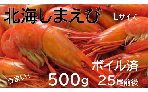 北海縞海老 シマエビ 北海縞えび  国産 500g 25尾 Lサイズ しまえび 冷凍 えび エビ ボイル済み