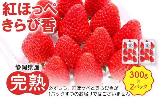 先行受付【静岡県産いちご】完熟紅ほっぺ・きらぴ香2パックセット（300g×2パック）【2026年1月下旬以降発送予定】