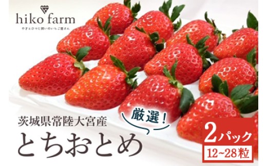 【先行予約】ごほうびいちご（厳選とちおとめ）2パック入り（12～28粒）黒パッケージ いちご イチゴ 苺 とちおとめ フルーツ 果物 くだもの デザート 【hiko farm（ヒコファーム）】 【ho1571】