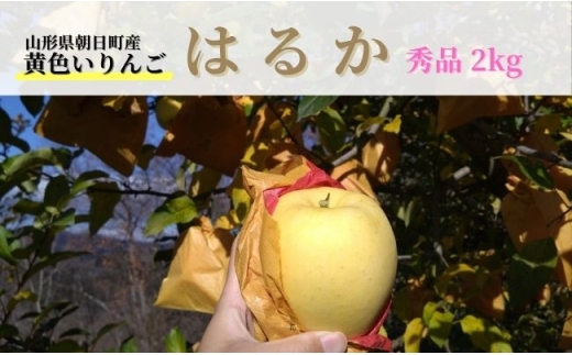 りんご はるか 秀品 2kg 【11月下旬から発送】 山形県 朝日町産 山形県産 特産 果物 フルーツ リンゴ 林檎 秋 冬 先行予約