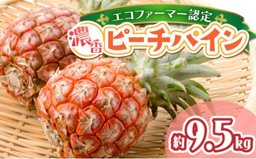 濃香ピーチパイン約9.5kg 【P】2026年 先行予約 ★たっぷり大家族サイズ★西表島 絶品 初エコファーマー認定 　【036-a008】