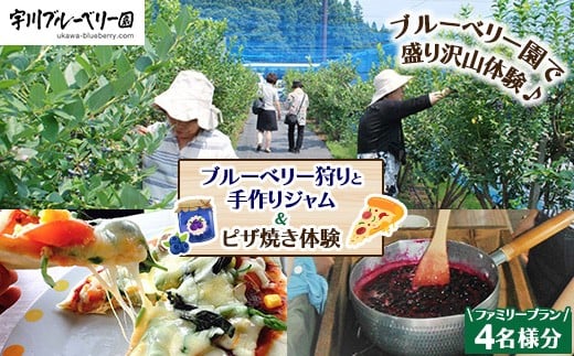 【2026年先行予約】【数量限定】ブルーベリー狩りと手作りジャム＆ピザ焼き体験ファミリープラン（4名様分） 2237961 - 福島県猪苗代町
