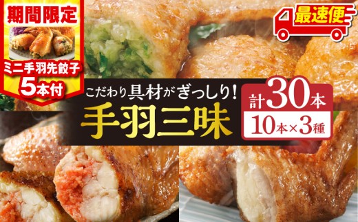 [最速便][期間・数量限定]手羽先3種セット(手羽先餃子・手羽先明太・手羽先チーズ)各10本入り・手羽先餃子(小サイズ5本)_M025-001-02-B-2W