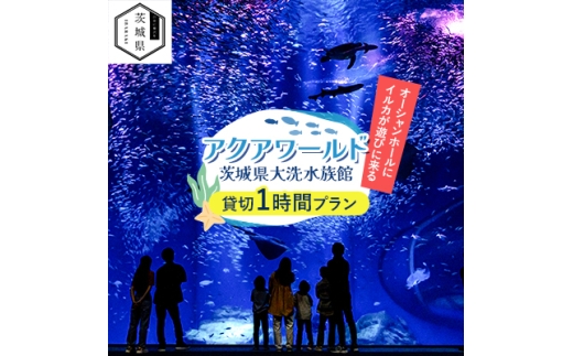 アクアワールド茨城県大洗水族館　貸切1時間プラン(オーシャンホールにイルカが遊びに来る)【1424654】