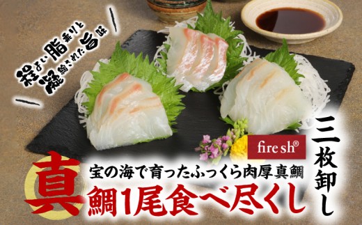 S106-009_真鯛1尾食べ尽くし【三枚卸し】 331770 - 熊本県天草市
