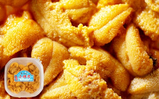 生うに 100g うに ウニ キタムラサキウニ 塩水パック 魚介類 水産物 海産物 海鮮 ホイル焼き 茶わん蒸し パスタ うに鍋 うにしゃぶ 刺身 ウニ丼 海鮮丼 手巻き寿司 海の幸 北海道 小樽市[2026年6月上旬-7月下旬 発送予定]