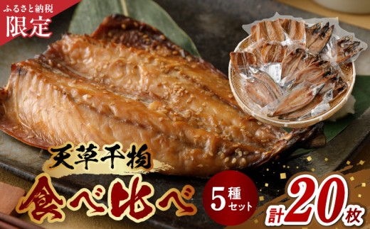S078-001_ふるさと納税限定 天草干物食べ比べ 5種 20枚セット 1030721 - 熊本県天草市