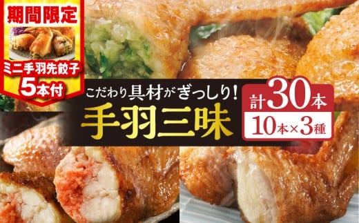 [2026年1月発送][期間・数量限定]手羽先3種セット(手羽先餃子・手羽先明太・手羽先チーズ)各10本入り・手羽先餃子(小サイズ5本)_M025-001-02-B-jan