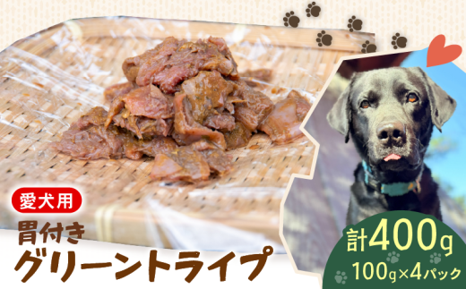 犬用 シカ の グリーントライプ 胃付き 100 g× 4 袋 ジビエ  鹿肉 肉 鹿 胃 ペットフード ドッグフード ペット 安心 健康 おやつ 犬 国産 ごはん トッピング ペット ペット用品 ペットフード 犬のおやつ  犬用 ペット用 ご褒美 乳酸菌 全犬種対応 小分け 個包装