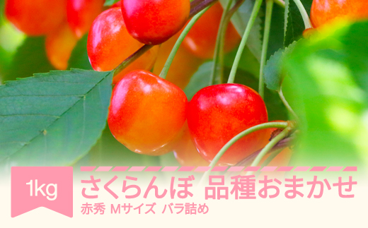 先行予約 さくらんぼ 品種おまかせ 赤秀 Mサイズ 1kg バラ詰 2026年産 令和8年産 山形県産 mm-saoam1000 ※沖縄・離島への配送不可