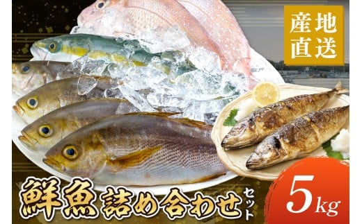 御坊産　鮮魚セット5kg 鮮魚 天然 詰め合わせ 朝どれ 冷蔵 新鮮 アジ サバ タチウオ 太刀魚 タイ 漁港 和歌山県産 御坊産 送料無料【配送不可地域】沖縄・北海道・東北・九州