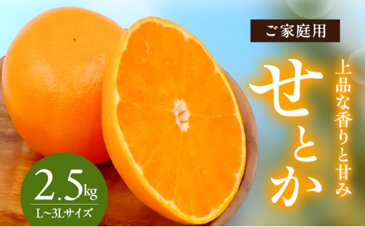 せとか L～3Lサイズ　2.5kg　ご家庭用[№5303-0279]