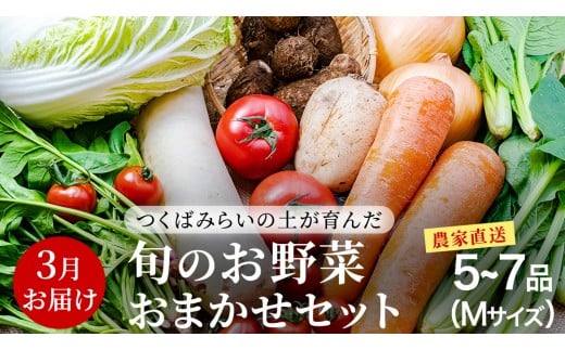 農家直送 旬のお野菜 おまかせセット [2026年3月お届け] Mサイズ(5~7品) 野菜セット 野菜 旬 詰め合わせ やさい おまかせ 自然 春野菜 夏野菜 セット 季節 新鮮 旬 農家直送