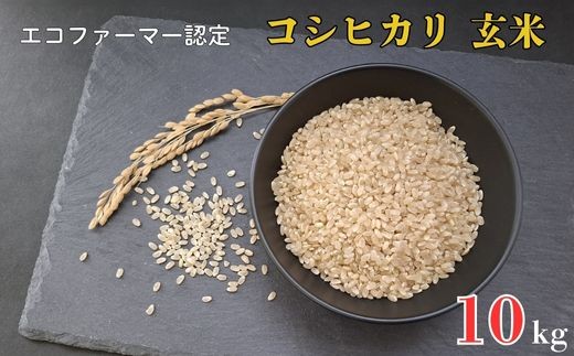 令和7年産 新米　【エコファーマー認定】 コシヒカリ 玄米 10kg ／ 米 こめ コメ ごはん ご飯 お米 おこめ 玄米 新米 エコファーマー認定 10kg 令和7年 千葉県 東庄町 産地直送 708694 - 千葉県東庄町