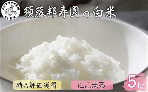 【令和7年産米】須藤邦寿園の白米 通算9回特A獲得米 にこまる5kg( 米 コメ お米 にこまる 5kg 5キロ 甘い 甘み 粘り 精米 国産 送料無料 )【B5-127】