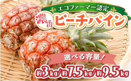 [選べる容量]濃香ピーチパイン 約3kg〜9.5kg [E]★絶品★ 2026年 先行予約 栽培期間中 農薬不使用 西表島 濃香 初エコファーマー認定[036-a002/036-a005/036-a008]