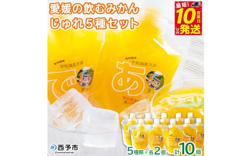愛媛の飲むみかんジュレ(10個セット) 