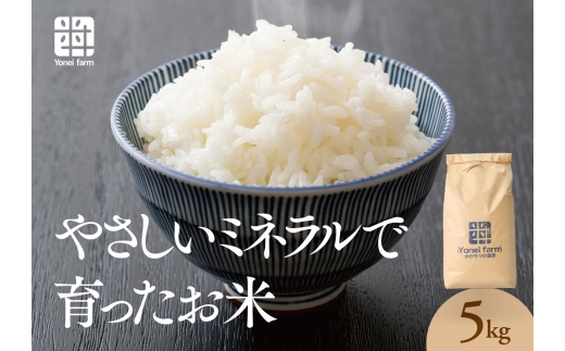おいしいお米(5kg)無洗米　リピーター続出【1647875】 2217338 - 岡山県津山市