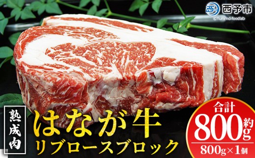 ＜熟成肉 はなが牛リブロースブロック約800g（800g×1個）＞ 牛肉 ステーキ 鉄板焼き 焼き肉 国産 塊肉 かたまり 霜降り しもふり バーベキュー BBQ キャンプ アウトドア 特産品 ゆうぼく 愛媛県 西予市【冷凍】『2か月以内に順次出荷予定』