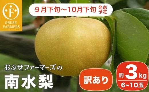 【訳あり】南水 約3kg 6〜10玉  [おぶせファーマーズ]  梨 なし フルーツ 果物 ワケアリ 傷 キズ 不揃い 規格外 家庭用 クール便 冷蔵便 長野県産 信州 先行予約 数量限定 【2025年9月下旬〜10月下旬発送】［F-32］ 230396 - 長野県小布施町