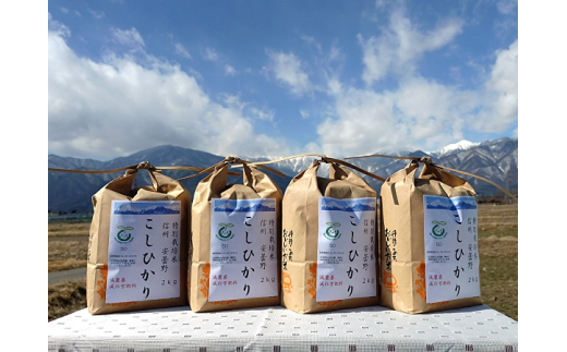 産直センター　特別栽培米コシヒカリ「８㎏」　（10月頃〜発送開始）