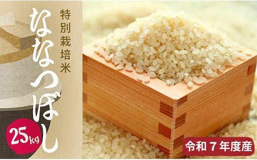 【R7年産新米先行予約】北海道産特別栽培米 アポイ米（ななつぼし）25kg（5kg×5袋）