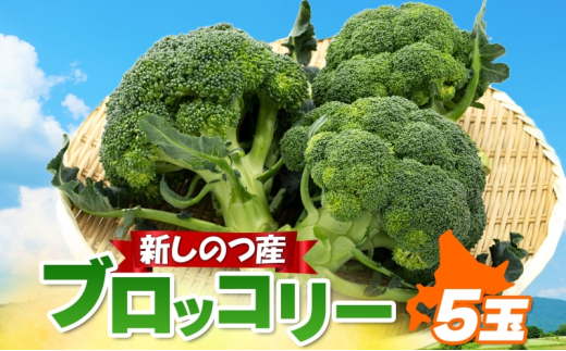 北海道 新しのつ産 ブロッコリー 5玉 グリーン野菜 旬 野菜 甘い お取り寄せ 国産 農作物 JA新しのつ 送料無料 新篠津村 2237874 - 北海道新篠津村