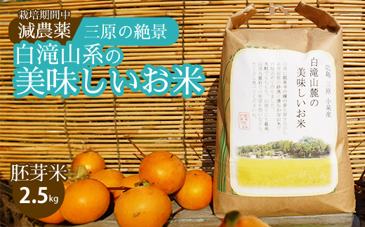 ≪栽培期間中減農薬≫ 三原の絶景白滝山系の美味しいお米 胚芽米 2.5kg 瀬戸内ビオファーム ご飯 米 おこめ 002007 776587 - 広島県三原市