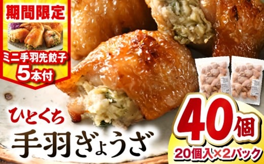 【2025年11月発送】【期間・数量限定】ひとくち手羽ぎょうざ 計40個(20個入×2)・手羽先餃子(小サイズ5本)| 餃子 手羽 てば 肉 お肉 手羽先 手羽先餃子 宮崎餃子 ご当地 グルメ ご当地グルメ おつまみ おかず 中華料理 焼き餃子 揚げ餃子 鶏肉 豚肉 牛肉 一口 ひとくち 一口サイズ 冷凍 宮崎 宮崎市 ｜_M025-005-B-nov 2242728 - 宮崎県宮崎市