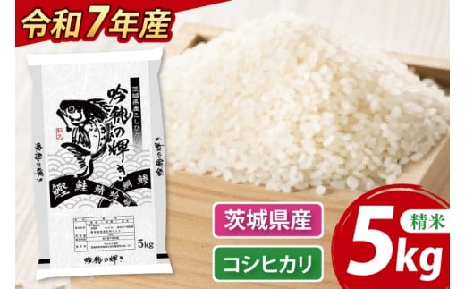 【先行予約 2025年9月より順次発送】 ＜令和７年産＞ 新米 コシヒカリ 5kg 精米 こしひかり 米 ごはん コメ お米 白米 国産 茨城県産
