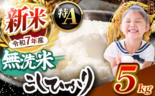 【栃木県共通返礼品】【令和7年度新米先行予約】栃木県産コシヒカリ 無洗米 5kg  | お米 米 こめ 洗米 新米 無洗米 コシヒカリ こしひかり 美味しい お弁当 選べる ふるさと 納税 栃木県 矢板市
