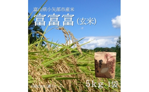＜新米先行受付 (2025年10月上旬から順次発送)＞令和7年富山県産「富富富」(玄米)5kg×1袋【1656106】 2238657 - 富山県小矢部市