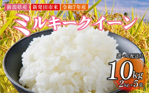 【2026年1月発送】令和7年産 新発田市米 ミルキークイーン 1月 発送 計10kg 2kg×5袋 米 白米 ご飯 料理 おにぎり 弁当 新潟県 新潟産 新発田産 ミルキークイーン 佐々木耕起組合 2kg 新発田市米 新潟県 新発田市 非常食 備蓄 sasakikoki002_01_202601