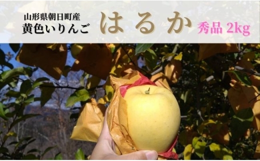 りんご はるか 秀品 2kg 【11月下旬から発送】 山形県 朝日町産 山形県産 特産 果物 フルーツ リンゴ 林檎 秋 冬 先行予約