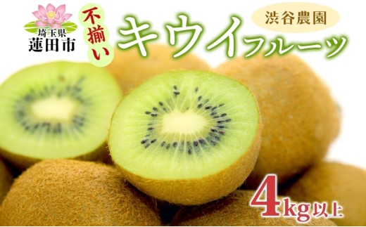 渋谷農園 キウイフルーツ（グリーン）不揃い 4kg以上 キウイ グリーン グリーンキウイ フルーツ 栄養 ビタミンC 食物繊維 酵素 カリウム 葉酸 ビタミンE 低カロリー 果実 果物 お取り寄せ 訳あり ご当地 送料無料 埼玉県 蓮田市 825600 - 埼玉県蓮田市